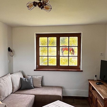 Pilisi Lovas Major, Dorog Bed & Breakfast Luaran gambar