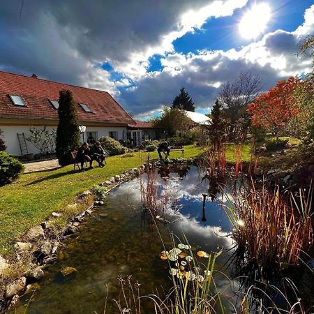 Pilisi Lovas Major, Dorog Bed & Breakfast Luaran gambar
